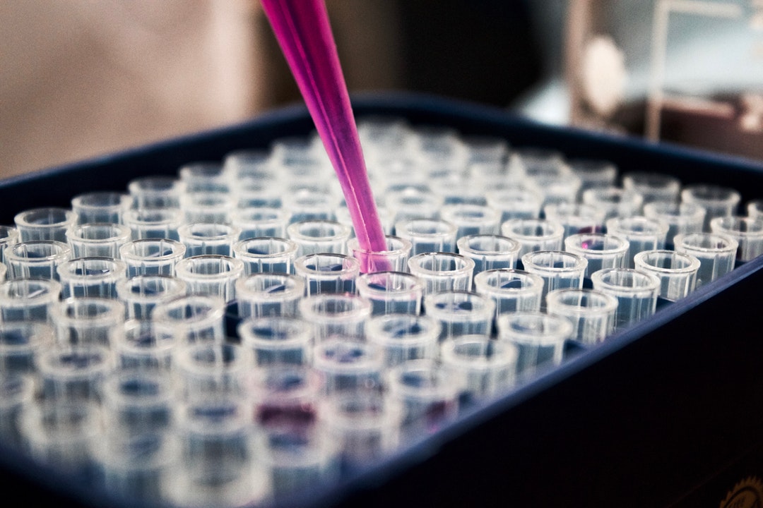 a pipette putting liquid into tubes