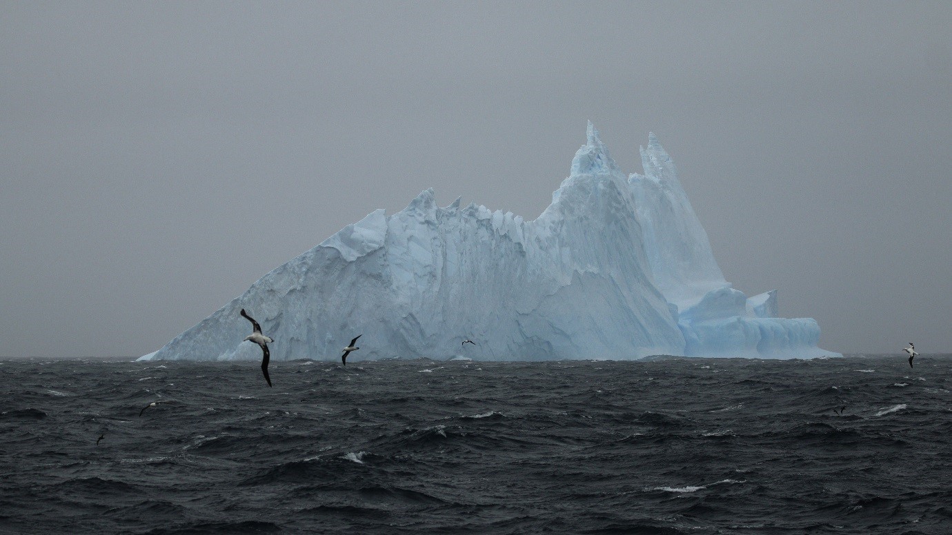 iceberg