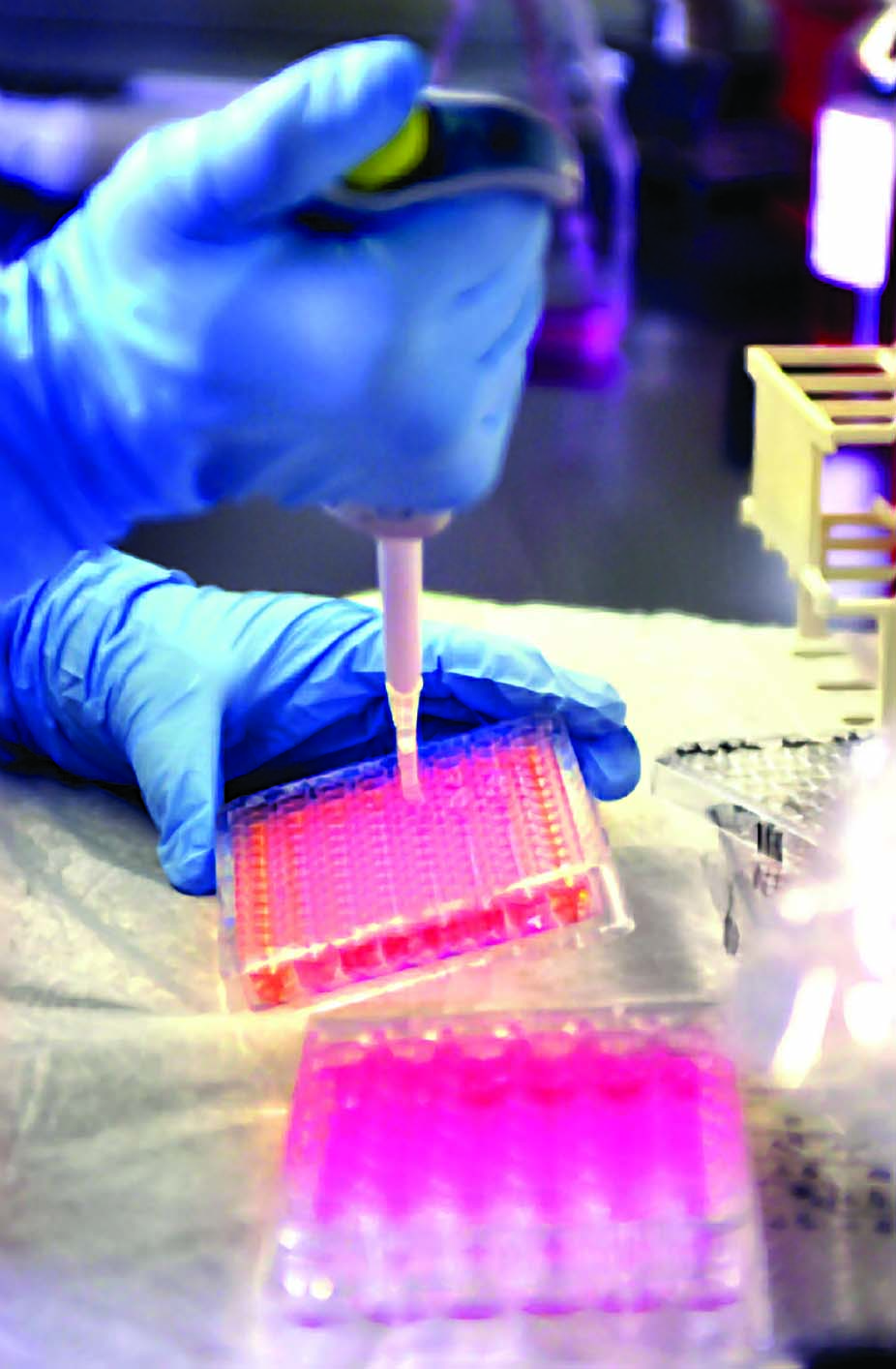 a person pipetting liquid into tubes