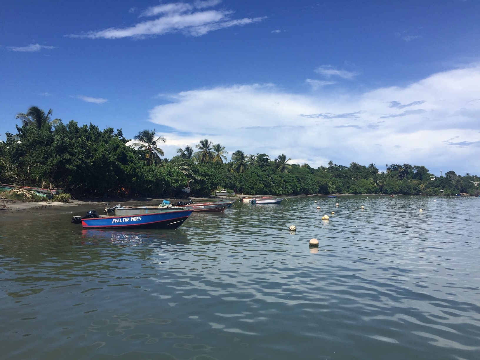 Image of tropical coastline with small fishing boats