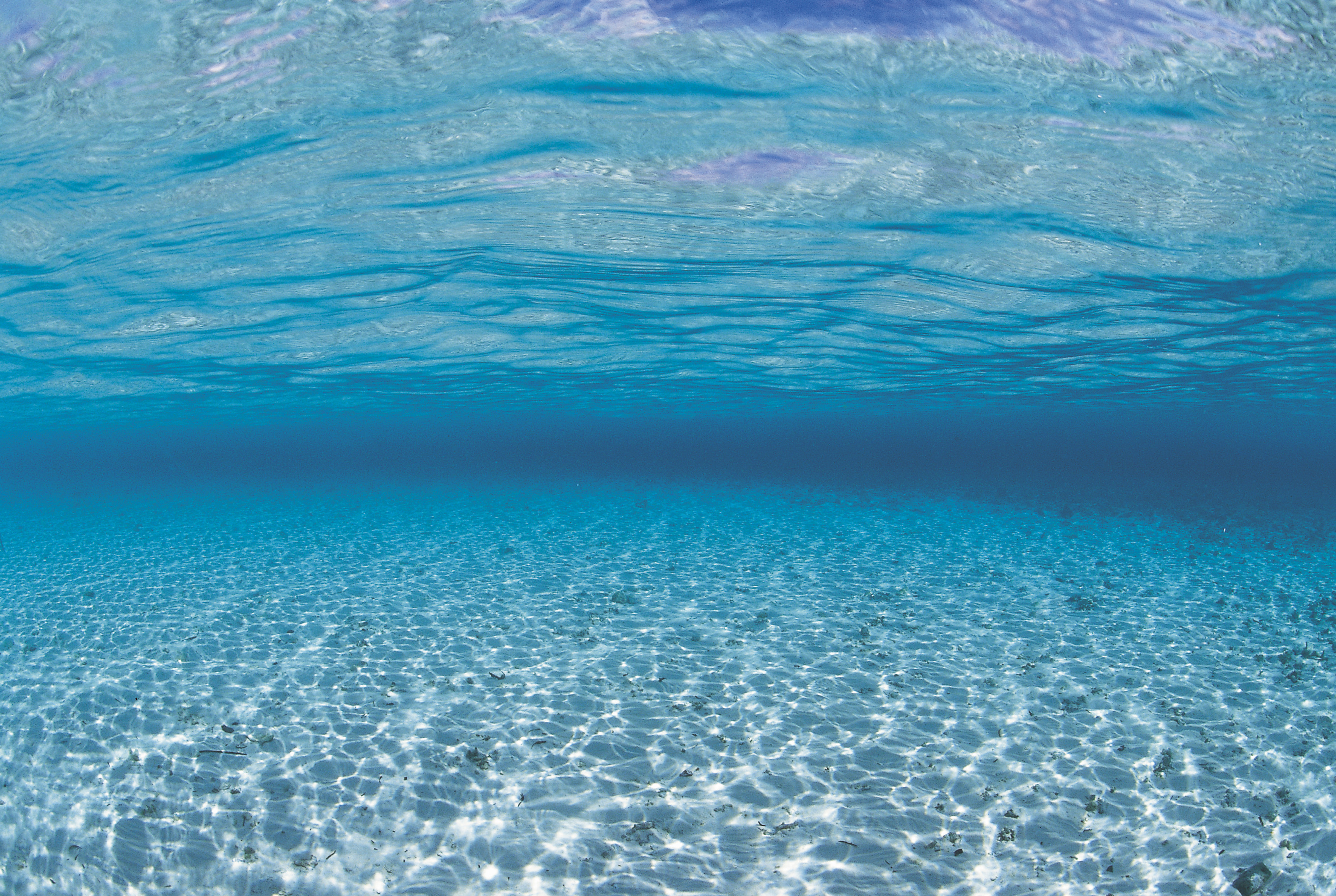 underwater photo