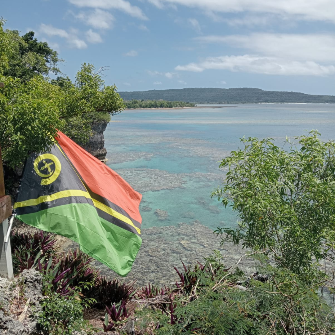 picture of the Vanuatu flag blowing in the breeze and a healthy reef behind in the ocean